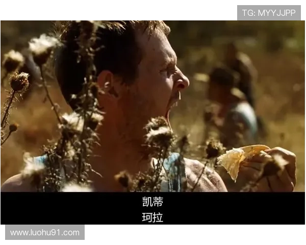 冷山：6大角色心路历程，揭示了15年恩怨情仇的最终归宿